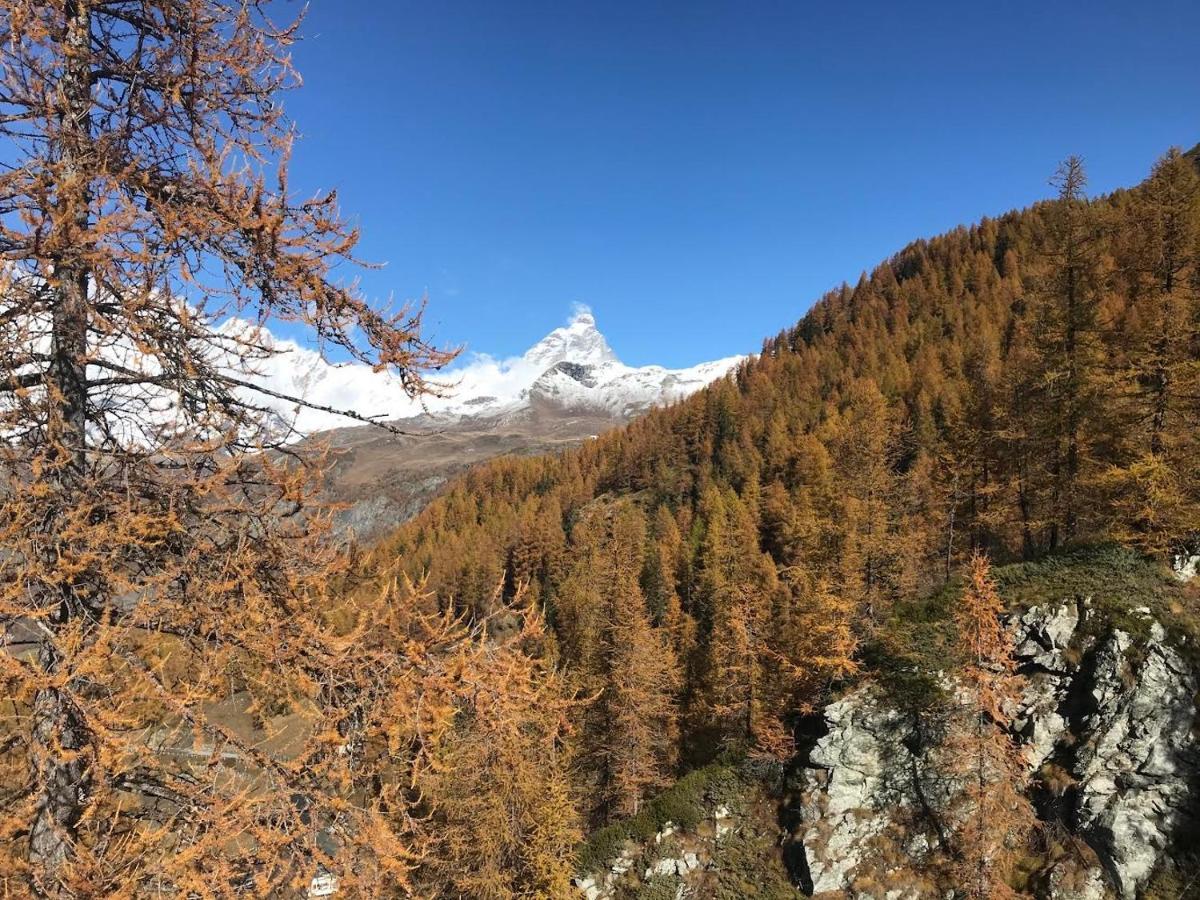 Appartamento Cervinia Fronte Funivie 布勒伊-切尔维尼亚 外观 照片